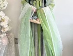 Ming-Style Hanfu:The Splendor of Traditional Chinese Clothing