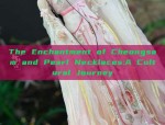 The Enchantment of Cheongsam and Pearl Necklaces:A Cultural Journey