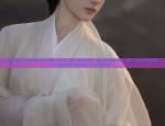 Ancient Fans and Silk Fans as Perfect Accessories for Traditional Chinese Hanfu Costumes