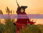 Feng Chengchengs Cheongsam:A Glimpse into Traditional Chinese Elegance