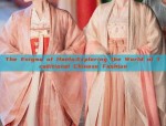 The Enigma of Hanfu:Exploring the World of Traditional Chinese Fashion