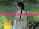 Plus Size Cheongsam:The Elegance of Long-Style Flag Skirts