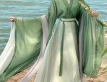 Peach Blossom Locks and Hanfu:Exploring the Enchantment of Traditional Chinese Clothing