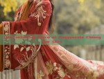 The Enchanting Beauty of Traditional Chinese Clothing:Daji and Wang Zhaojun