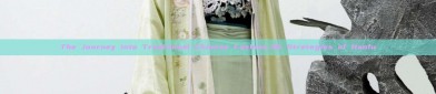 The Journey into Traditional Chinese Fashion:36 Strategies of Hanfu