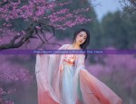 The Revival of Hanfu Fashion:Exploring the Cultural Significance of漫春雪汉服
