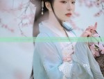 The Elegance of Long-sleeved Cheongsam Skirts
