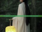 Chinese-Style Womens Tang Costume Short-Sleeved Blouses:A Blend of Tradition and Modernity
