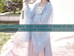 Qidu Horseface Skirt Ensemble A Blend of Tradition and Modernity