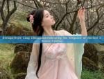 The Journey of a Junior Schoolgirl into the World of Hanfu 汉服)
