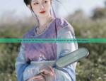 The Revival of Hanfu Fashion:The Elegance of Brush-Off Robes