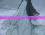 Handcrafted Hair Combs in Traditional Hanfu Style:An Insight into the Craftsmanship