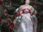 Ancient Charm of Hanfu Style Bags:A Guide to Versatile and Stylish Guchuan Cross-Over Bags