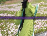 The Enchantment of Ebony Green Hanfu Fabric