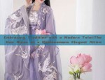 Chinese Traditional Costume for Women:Winter Adult Ancient Style Clothes