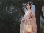 The Rise of Short-Style Hanfu Robes:A Glance into Traditional Chinese Elegance