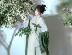Elegant Girl in Traditional Hanfu Fashion:A Short-sleeved Journey Through Time