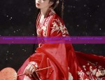 Ancient Prisoners in Hanfu:A Glimpse into the Cultural Tapestry of China