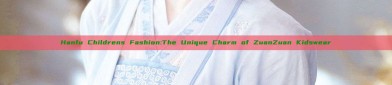 Hanfu Childrens Fashion:The Unique Charm of ZuanZuan Kidswear
