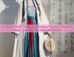 Ancient Charm of Girls Hanfu Short-sleeved Dress