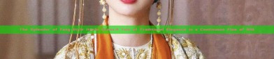 The Splendor of Tang-Style Hanfu Dress:A Tale of Traditional Elegance in a Continuous Flow of Silk