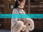 Elegant Horseface Skirt and Jacket:A New Traditional Chinese Fashion