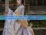 The Joy of a Chinese Traditional Brides Mother:The Splendor of Hanfu Fashion