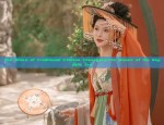 The Allure of Traditional Chinese Cheongsam:The Mosaic of the Republic Era