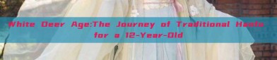 White Deer Age:The Journey of Traditional Hanfu for a 12-Year-Old