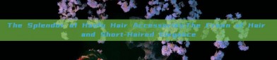 The Splendor of Hanfu Hair Accessories:The Crown of Hair and Short-Haired Elegance
