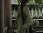 Butterly Hair Combs and the Splendor of Traditional Chinese Clothing