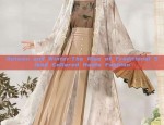 The Enchantment of Girls Hanfu:The Soaring Beauty of Feiyu Robes
