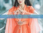 The Splendor of Jin and Wei Styles in Traditional Chinese Hanfu Fashion