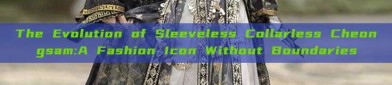 The Evolution of Sleeveless Collarless Cheongsam:A Fashion Icon Without Boundaries