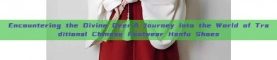 Encountering the Divine Deer:A Journey into the World of Traditional Chinese Footwear Hanfu Shoes
