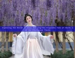 Exploring the World of Shan Hai Jing:The Exquisite Tale of Hanfu and the Gluttonous Taotie
