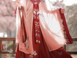 The Journey of Original Hanfu Fashion:36 Strategies
