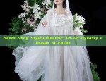 Hanfu Song Style:Authentic Jin-Jin Dynasty Fashion in Focus