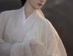 The Resurgence of Chinese Traditionalism:The Cultural Significance of Bai Cai Hanfu