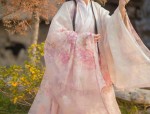 Petite Womens Summer Fashion:The Charm of Traditional Tangzhuang Hanfu Clothing for Little Girls