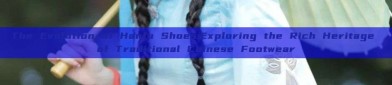 The Evolution of Hanfu Shoes:Exploring the Rich Heritage of Traditional Chinese Footwear