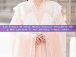 Childrens Hanfu Embroidered Shoes with High Heels:A Cultural Exploration