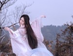 The Plum Blossom and the Fall of Hanfu:A Tale of Traditional Beauty and Cultural Heritage