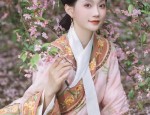 Hanfu in the Jin and Jing Dynasties:A Glimpse into Traditional Chinese Clothing and Culture