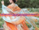 The Adventures of a Martial Arts Girl in Hanfu Traditional Clothing