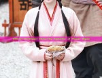 The Adventures of a Martial Arts Girl in Hanfu Traditional Clothing
