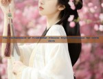 The Splendor of Hanfu in the Qing Dynasty:A Study on the Traditional Dress of Women