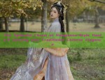 A Review on the Sleeveless Horseface Skirt