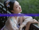 Dreaming in the Splendor of Hanfu:The Journey Back to Changan
