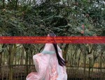 The Allure of Traditional Chinese Fashion:Exploring the Yinian Guanshan Style Hanfu
